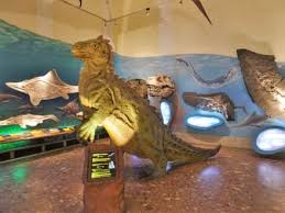 Immer mehr menschen möchten dem klimawandel entgegenwirken und ihren co2. Bilder Haus Der Natur Begrussung Der Gaste Durch Dinosaurier Salzburg Salzburger Land Osterreich