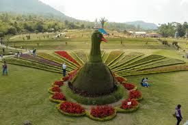 Gambar bunga cantik di taman. 5 Taman Bunga Tercantik Di Indonesia Keindahan Sepanjang Mata Memandang