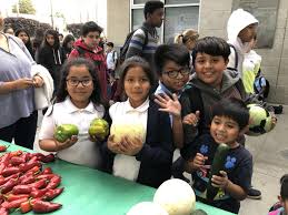 Food forward helps bridge the gap and make surplus greens available to all! What We Do Food Forward