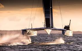Image result for america's cup 2017