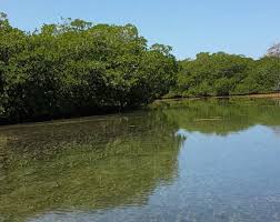 Santa cruz ranch has been in existence since 2000. Honduras Names The Santa Elena Wetland System As A Ramsar Site Ramsar