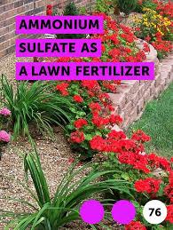 Ammonium sulfate is nh4 + so4, so not only will the sulfate make sulfuric acid, but the nh4 (ammonium) will break down to no3 (nitrate) and release extra h+ into the soil, which makes the soil more acid. Learn Ammonium Sulfate As A Lawn Fertilizer How To Guides Tips And Tricks Lawn Fertilizer Fertilizer For Plants Landscaping Trees