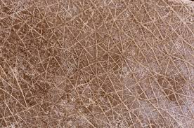 Hould i be worried about big holes in my skin like this? Human Skin Under A Microscope Stock Photo Picture And Royalty Free Image Image 62319714