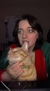 Alfred the Cat Drama: Damian vs. Tim Skit