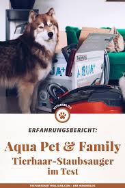 Pin Auf Tierblogparaden