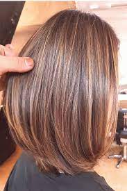 Highlights Brown Hair Caramel Honey Highlights Brown Hair Caramel Highligh Golden Highlights Brown Hair Brown Hair Balayage Brown Hair With Caramel Highlights