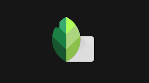 Developed initially for ios, it was made available for android in 2012. Descargar Snapseed Apk 2021