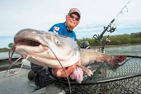 Big Catfishing Opportunities Abound On The Ohio River Ohio Ag Net Ohio S Country Journal