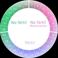 Conoces Cuales Son Tus Dias Fertiles Te Lo Ensenamos Bezzia