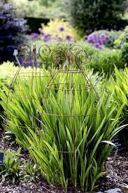 Shop the top 25 most popular 1 at the best prices! Plant Belles Are Metal Grow Through Plant Supports Plant Belles Also Make Unique Plant Tunnels Plant Crooks Plant Labels Plants Garden Labels Plant Supports
