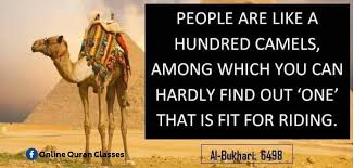 Hi all, i heard a claim that there are over a 1000 words for camel in arabic and even more for camel behavior. Praise Be To Allah Quran Classes