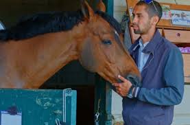 Nasser qualified for the international fede. Draper Therapies Spotlight Nayel Nassar Jumper Nation