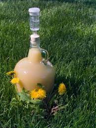 Pin On The Art Of Fermentation