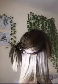 I hardly ever find a casual fan who even knows she exists, the fact that she's trending is amazing ]]. Hairstyles Hair Styles Hair Color Underneath Aesthetic Hair