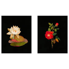 Bild Bild Flora Delanica I Ikea Deutschland Hangende Kunst Bilder Flora