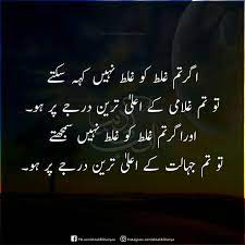 Pin On اردو Quotations