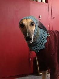 Maybe you would like to learn more about one of these? Hand Knitted Appliqued Baby Girls Cardigan Featuring Cutie Greyhound Whippet Lurcher Applique Clothing Men S Clothing Valresa Com