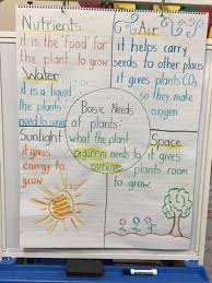 Vocabulary Resources Anchor Charts Activities Second Grade Science Kindergarten Science Third Grade Science