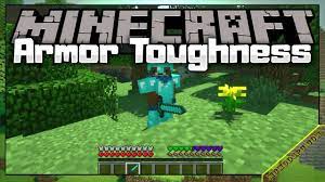 I started with low value, . Armor Toughness Bar Mod 1 16 5 1 15 2 1 12 2 How To Download And Install For Minecraft Youtube