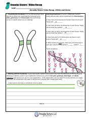 Our 'alleles and genes' video also points out 1. Video Recap Of Alleles And Genes By Amoeba Sisters Pdf Amoeba Sisters Video Recap Alleles And Genes 1 Visualizing The Vocabulary For The Following Course Hero