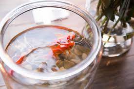How To Remove Prevent White Residue On Aquarium Glass