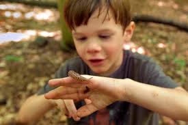 At Carrie Murray Forest Preschool in Baltimore, early childhood education  meets the great outdoors