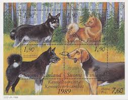 They were originally bred and used as working dogs for fishermen in newfoundland. Finland S Dog Fancy