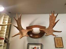 Both stores are so cute and sooo full of things! Hudsonville Antiques 3704 Chicago Dr Hudsonville Mi Events Special Mapquest