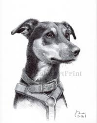 Dog Portrait Custom Pet Portrait Commission Artwork Pet Memorial Pet Keepsake Ideas Pet Portraits Custom Pet Portraits Dog Portraits