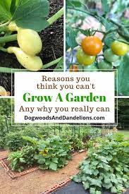 Reasons You Think You Can T Grow A Garden Gardening For Beginners Gardening Tips Container Gardening