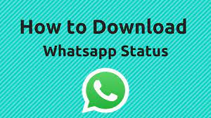 The first is the secretary of state of the united states, which operates at the federal level. Whatsapp Tricks And Tips For Downloading Any Status It With All