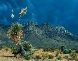 Desert Battle Arizona Vs Nevada Vs New Mexico Vs West Texas Best State City Vs City City Data Las Cruces New Mexico Southern New Mexico New Mexico Usa