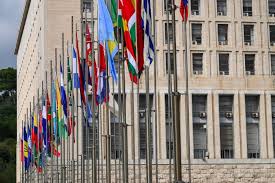 Farnesina Sindacati Fp Per Referendum Priorita Tutela Salute Colleghi All Estero