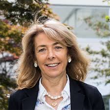 Executive and organizational structure