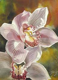 Pin On Art Cymbidiums