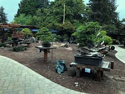 N.º 17 de 205 atrações em oakland. Gsbf Bonsai Garden At Lake Merritt Home Facebook