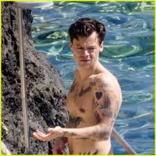Harry makes his acting debut in dunkirk. the critically acclaimed film topped the us box office in its first weekend and was one of the top grossing films of the summer. Harry Styles Shows Off His Tattooed Body While Showering At The Beach See Every Photo Harry Styles Shirtless Just Jared
