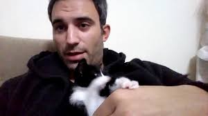 Smokin Cins Yavru Kedicik Youtube