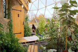 This swedish couple living in stockholm has converted their home into a greenhouse and live a pleasant life even in the extremely cold weather. This Family Live For Free In Their Self Sufficient Biodome Loveproperty Com