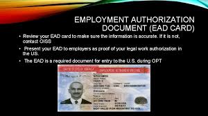 Submit a scanned copy of your ead card to the interantional center using our online form. Optional Practical Training Opt And Next Step Workshop