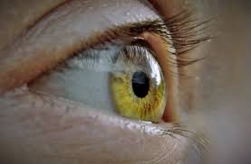 Erfahrt hier alles über rizinusöl und die du möchtest wissen, ob rizinusöl das wimpernwachstum anregt und lange wimpern macht? Rizinusol Fur Die Wimpern Test Empfehlungen 06 21 Glamourlux