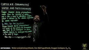 Photosynthesis Part A | Ppt