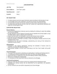 An assistant director is responsible for the overall monitoring and assist in management of all aspects of this effort. Job Description Cls Care Services