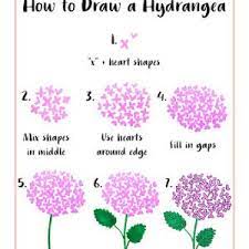 The Illustrai How To Draw Lavender In 6 Easy Steps Flower Drawing Tutorials Flower Drawing Flower Sketches