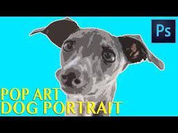 22 How To Make A Pop Art Dog Portrait In Photoshop Start To Finish Youtube Dog Pop Art Pop Art Dog Portrait Dog Portraits