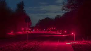 Are cities really turning streetlights red to protect bats and nocturnal ecosystems?