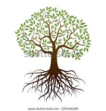 Transparent background tree with roots silhouette. Lliella Safariadv Animalitos De Selva Transparent Tree With Roots Clipart Stunning Free Transparent Png Clipart Images Free Download