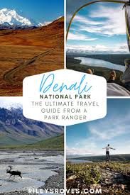 Things To Do In Denali National Park Essential Guide In 2020 National Parks Denali National Park National Parks Trip