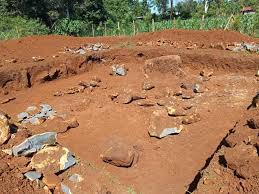 Place a ring of large stones. Step By Step Guide On How To Build A Duck Pond In Your Homestead