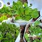 Winter Seed Sowing Workshop — Barns of Rose Hill event in Berryville, VA